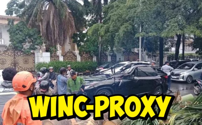 Gara-gara Pohon Tumbang Timpa Pengemudi Mobil Lexus hingga Tewas, Pemprov DKI Pasang 5.000 Penyangga