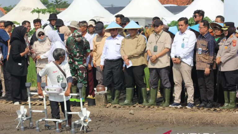 BP Taskin Uji Coba Sistem Pertanian Digital di Cirebon, Targetkan Pengentasan Kemiskinan Petani