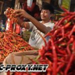 PIHPS: Harga cabai rawit Rp51.150/kg, telur ayam Rp31.750/kg