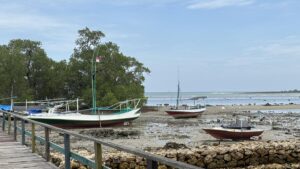Labuhan Mangrove: Dari Riset Akademis ke Penggerak Ekonomi Desa