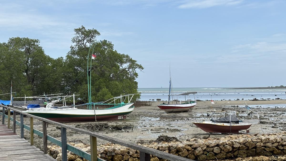 Labuhan Mangrove: Dari Riset Akademis ke Penggerak Ekonomi Desa