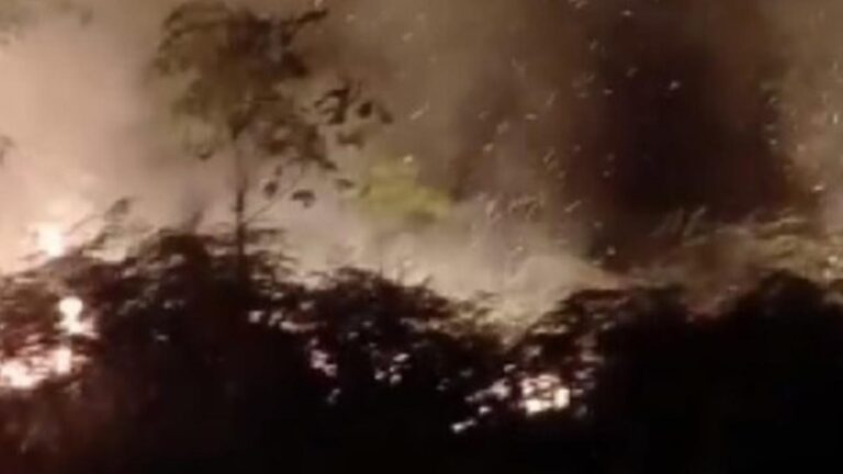 Kebakaran Lahan di Aceh Barat Capai 19 Hektare, BPBD Kendalikan