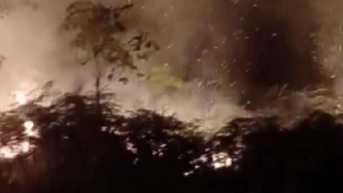 Kebakaran Lahan di Aceh Barat Capai 19 Hektare, BPBD Kendalikan