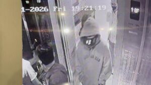 Aktivitas Terakhir Lula Lahfah Sebelum Meninggal Terungkap